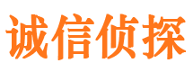 七里河市私家侦探